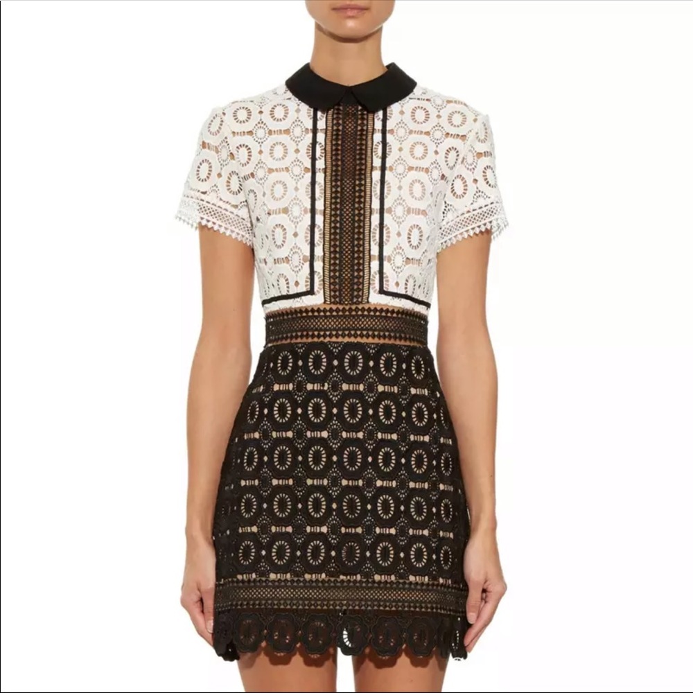 ❌Sold❌ Collar Dress GUC - Picture 3 of 6